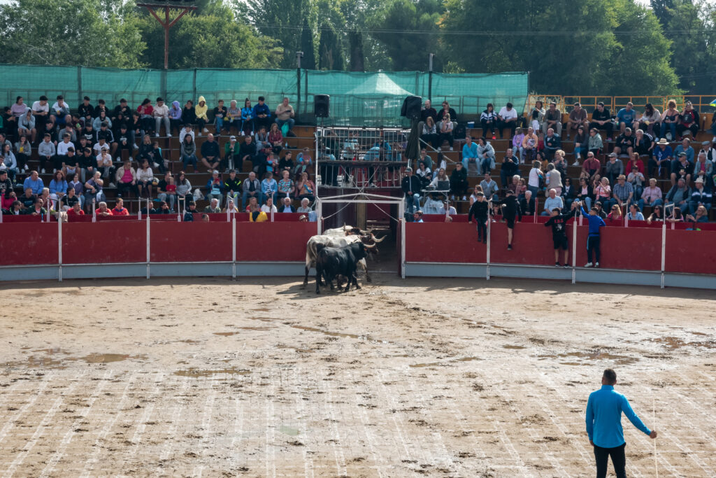 Encierrro sábado