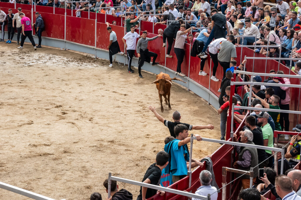 Encierrro sábado