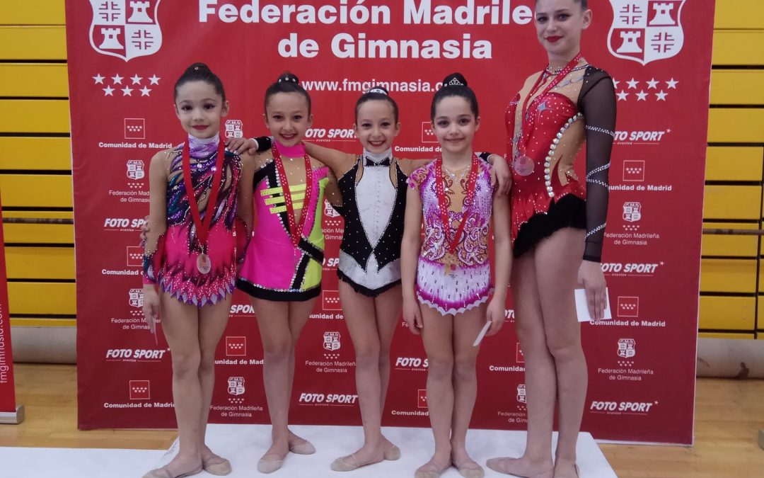 Las gimnastas de CGR Velilla obtuvieron muy buenos resultados en la primera fase del Torneo Federación