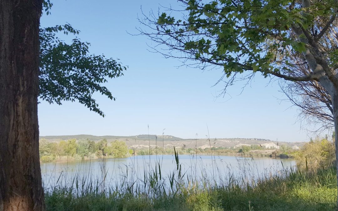 El Ayuntamiento ha conseguido que se realice un estudio integral de la Laguna El Raso que financiará la CAM