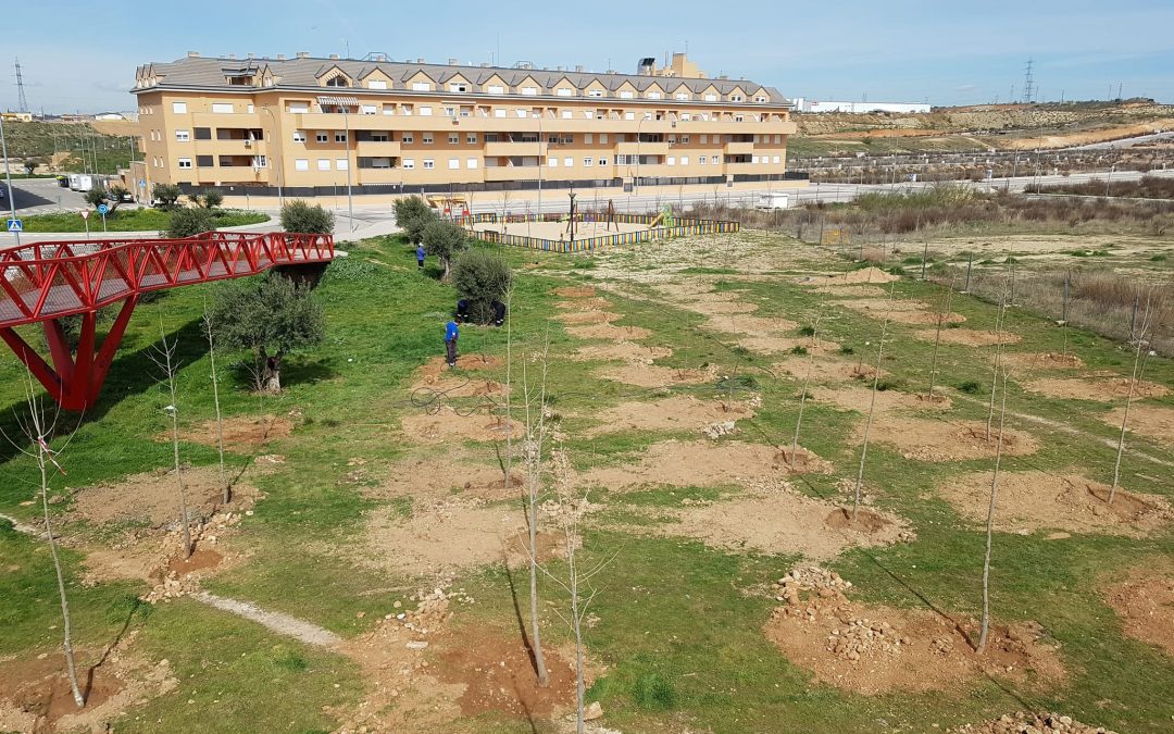 El Ayuntamiento de Velilla realiza una plantación de árboles en el Sector XXIII