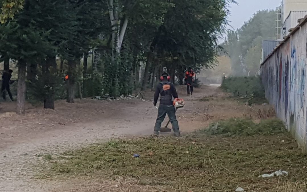 El Parque Regional del Sureste atiende la petición del Ayuntamiento de Velilla para realizar labores de limpieza y mantenimiento de la Laguna El Raso
