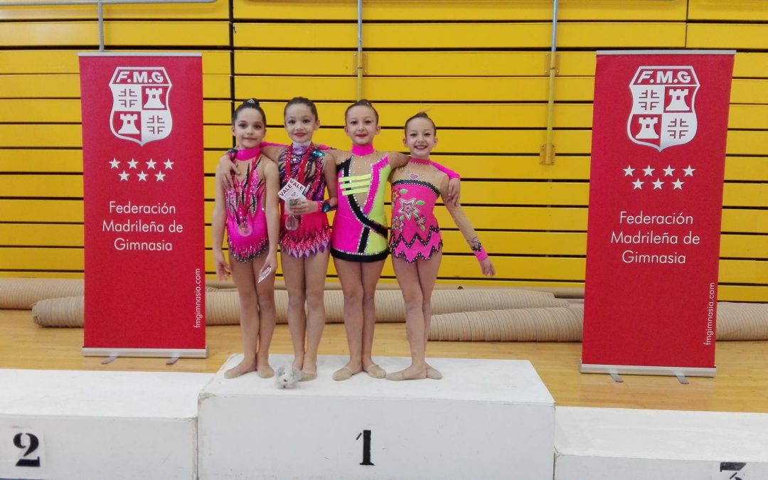 Las gimnastas velilleras obtienen muy buenos resultados en la segunda fase del Torneo Federación