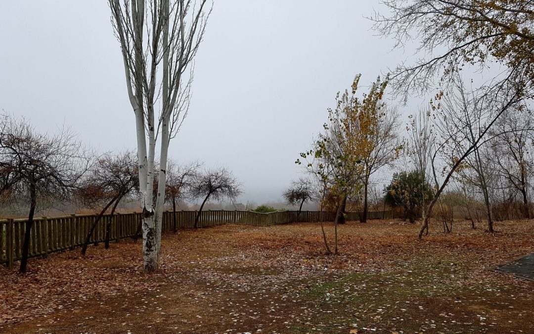 El Ayuntamiento de Velilla continúa trabajando para mejorar el espacio de la laguna El Raso