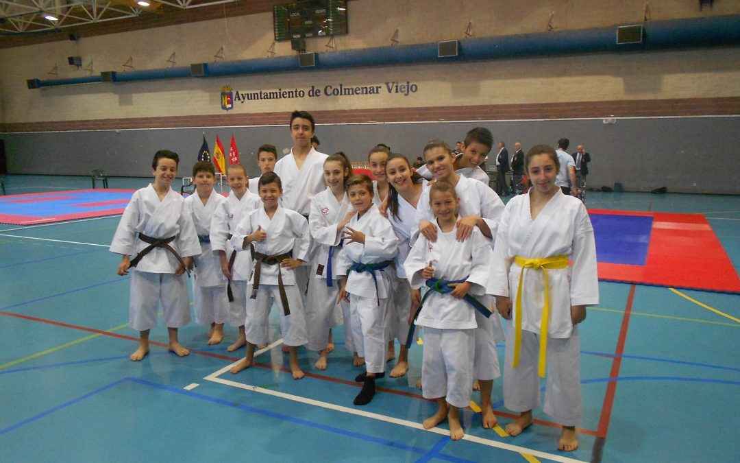 El pasado domingo 3 de junio se celebró el XIII Trofeo de Karate Villa de Colmenar Viejo