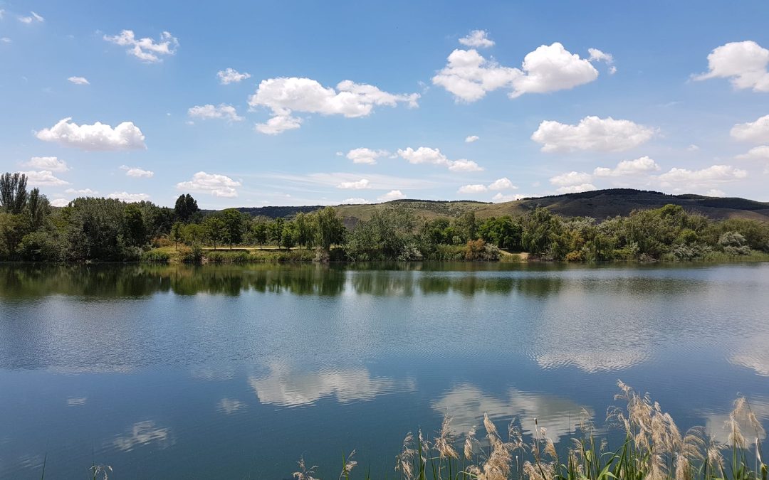 El próximo 15 de septiembre se celebrará una jornada informativa sobre la situación de las lagunas en Velilla