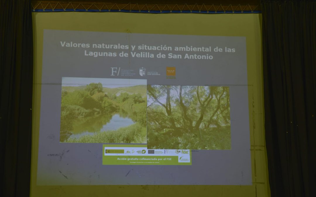 Presentación de las primeras conclusiones del estudio de las lagunas de Velilla