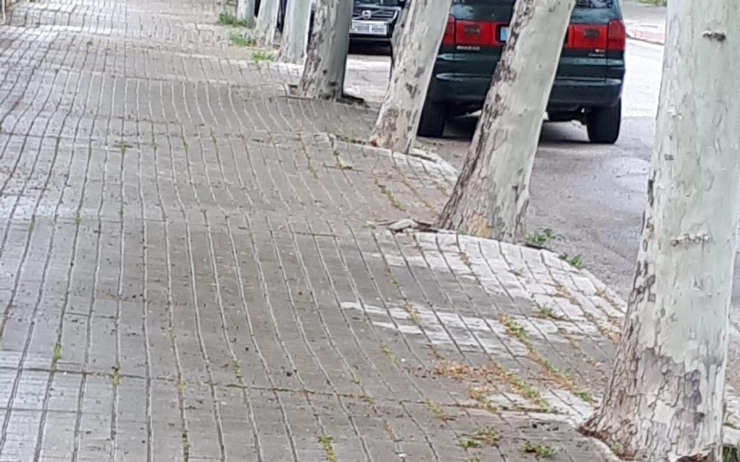 Mañana comenzarán los trabajos de remodelación de aproximadamente 2.000 metros cuadrados de aceras en Velilla