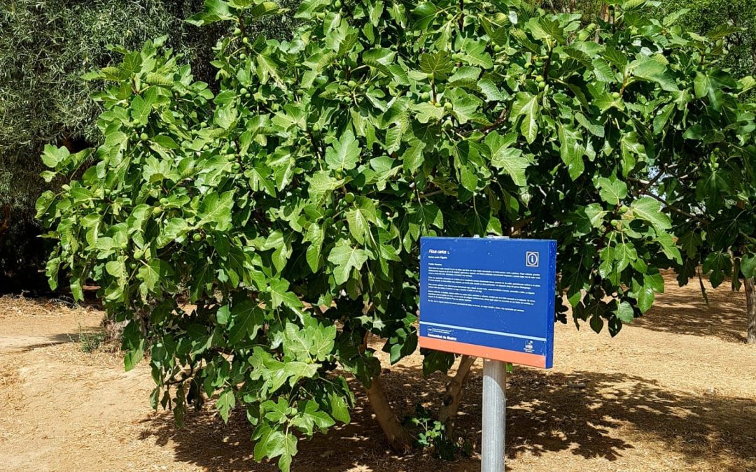 Nuevos paneles informativos en las lagunas de Velilla