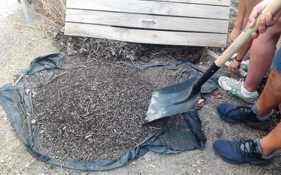 Los participantes en el programa Residuos Cero han obtenido su segunda cosecha de compost