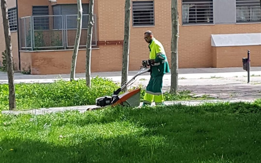 El Área de Parques y Jardines retomó su actividad este lunes