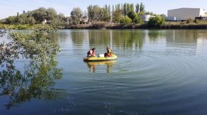20220510 peces web