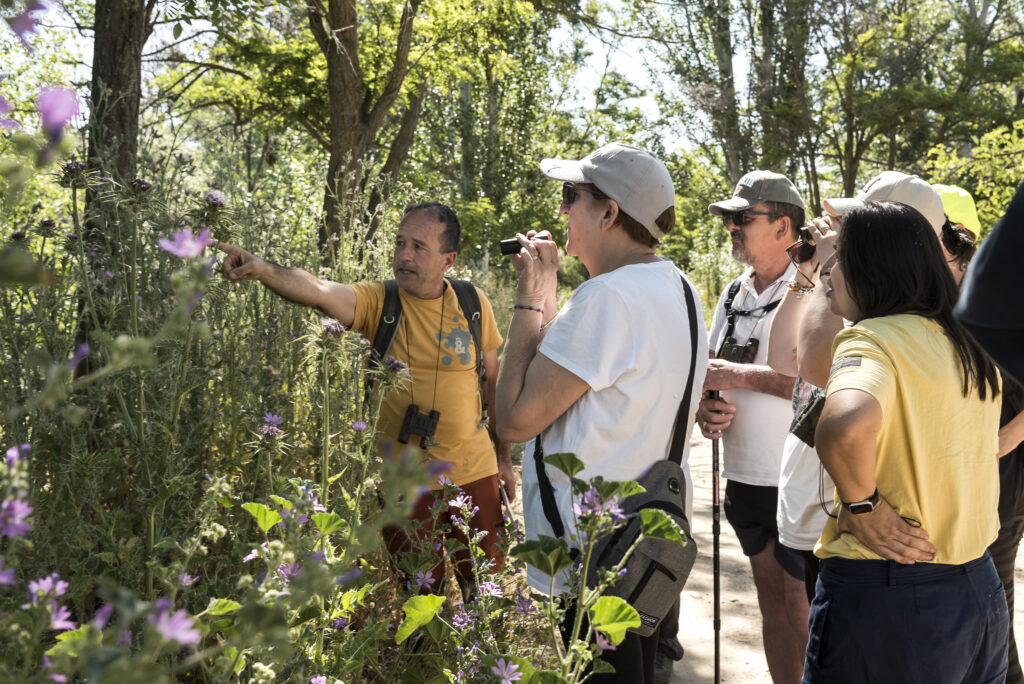 20240511 taller entendiendo las claves de la naturaleza (11)