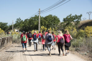 20240602 camino de cervantes (20)