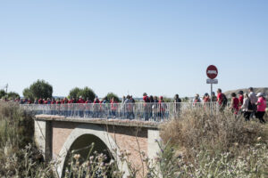 20240602 camino de cervantes (6)