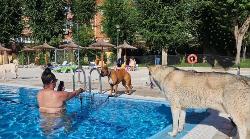 Chapuzón perruno para cerrar la temporada de la piscina de verano