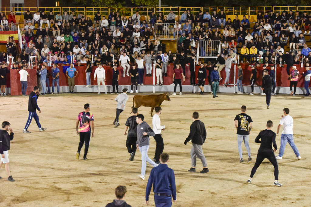 Suelta de vaquillas