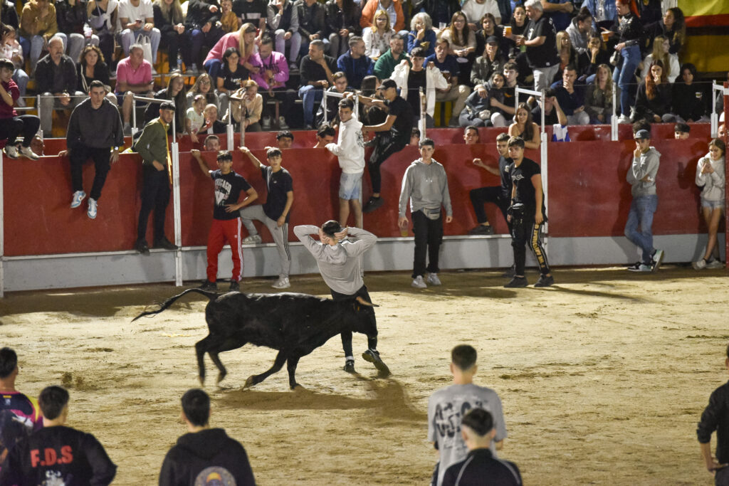 Suelta de vaquillas