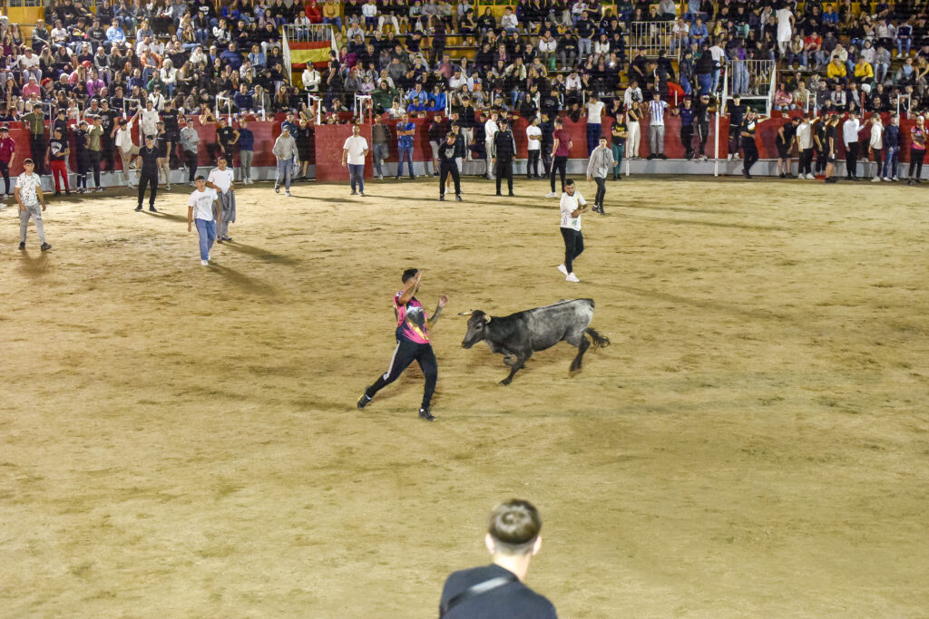 Suelta de vaquillas