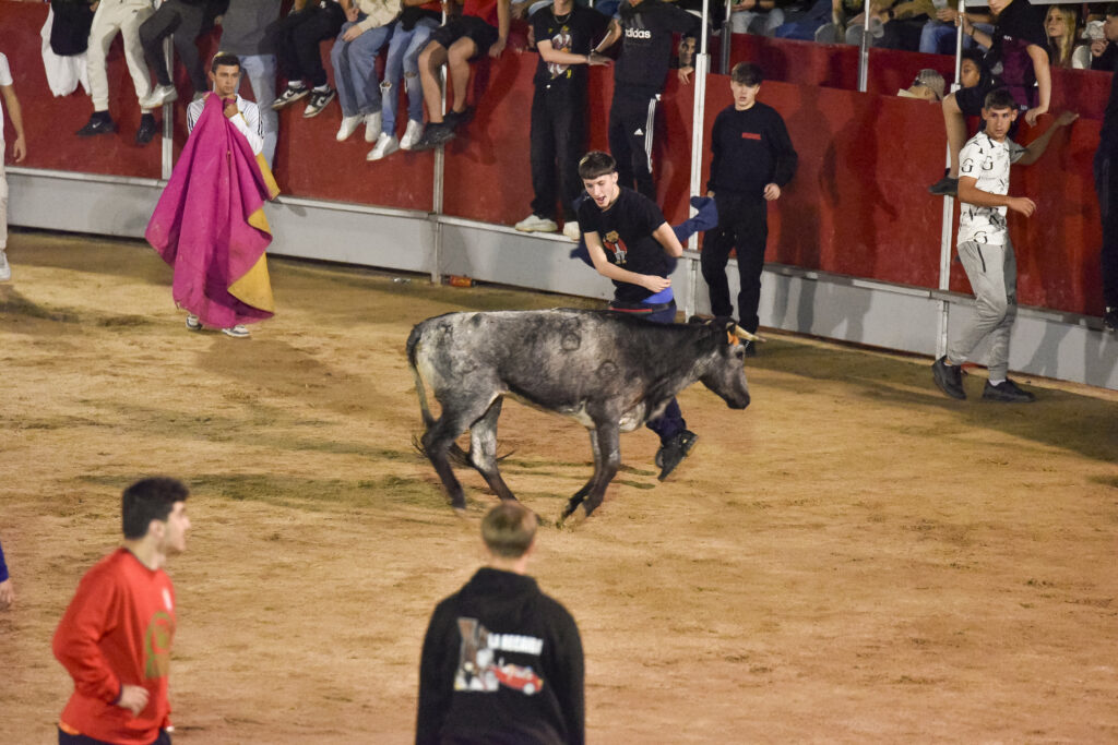 Suelta de vaquillas