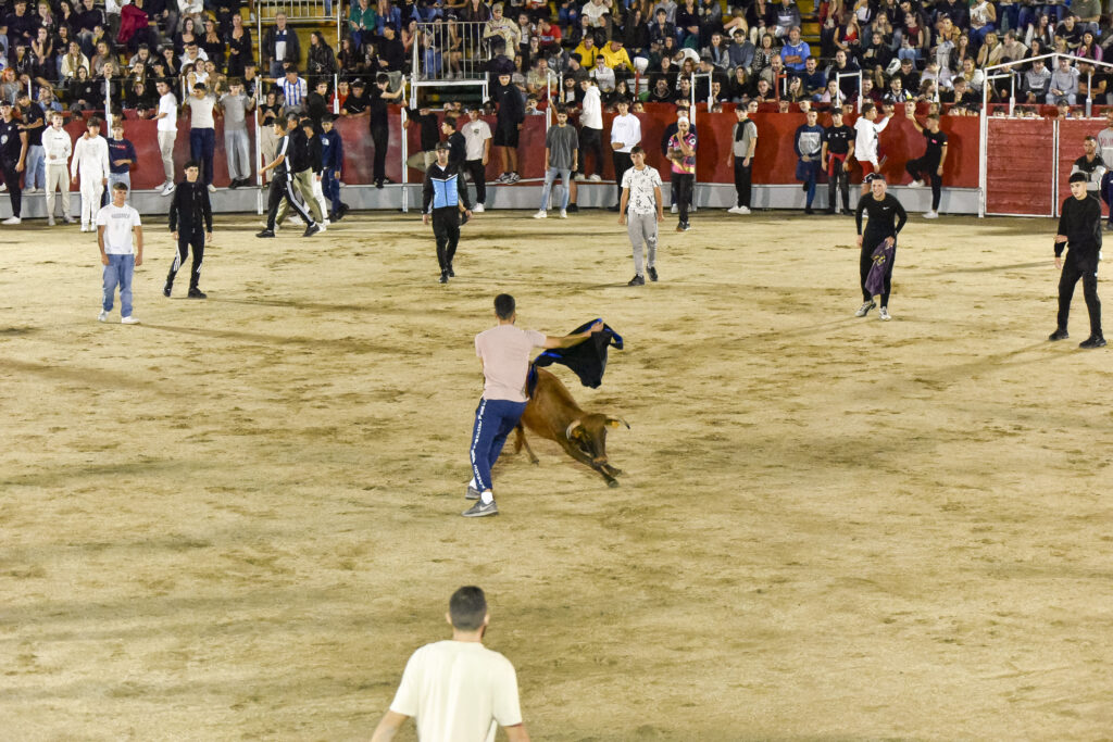 Suelta de vaquillas