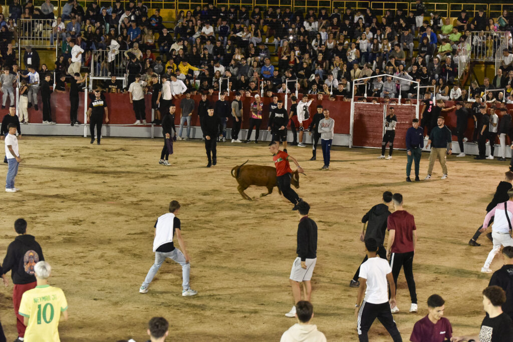 Suelta de vaquillas