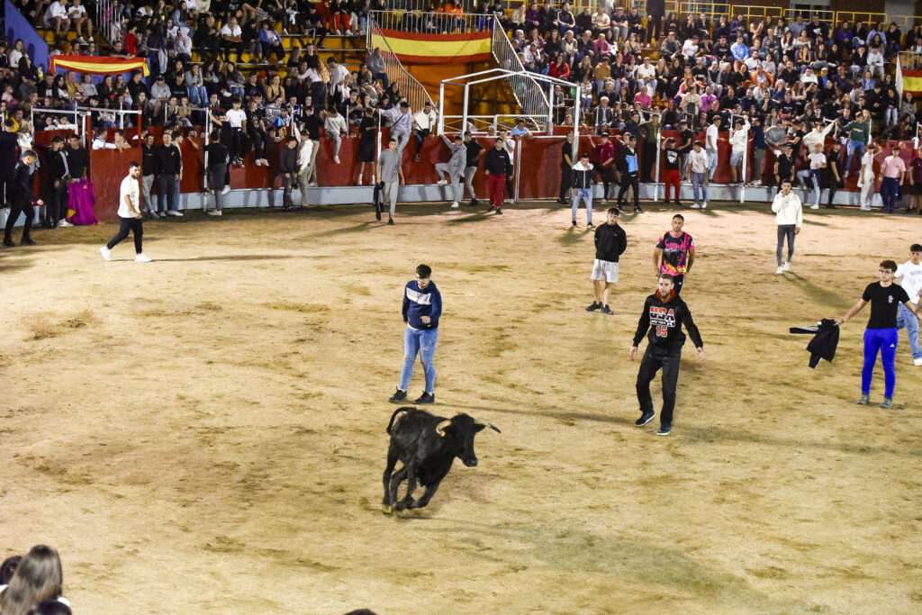 Suelta de vaquillas