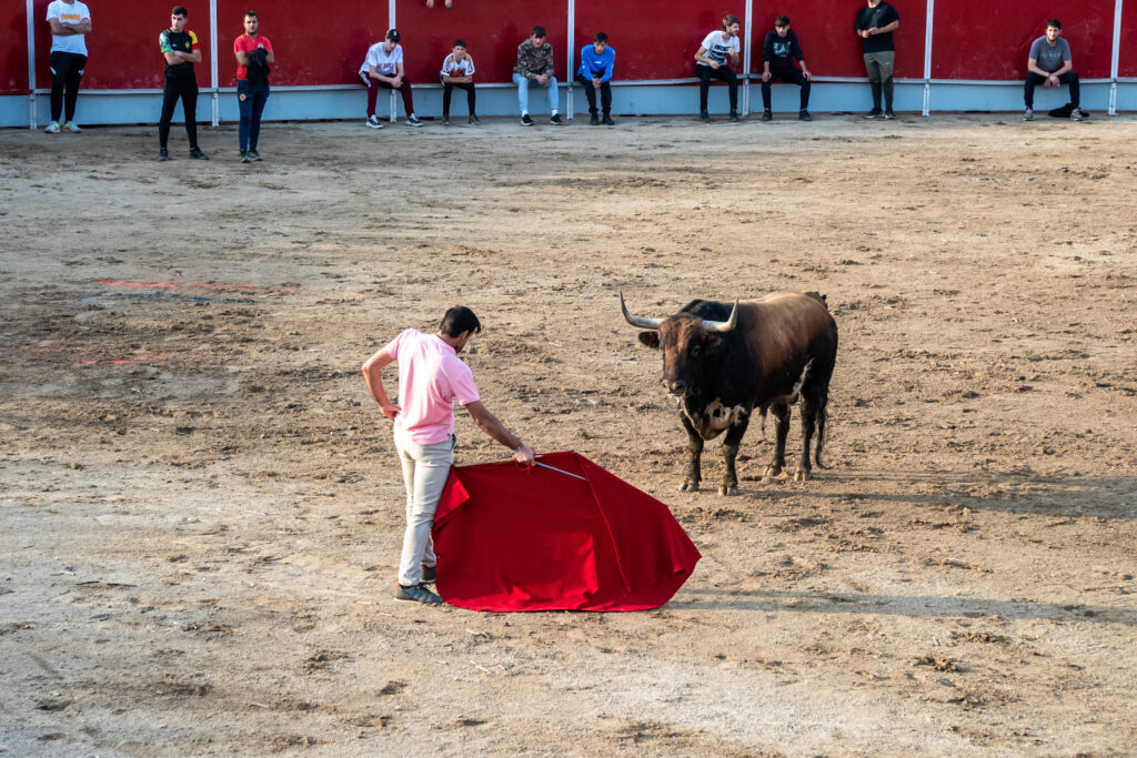 Capea sábado