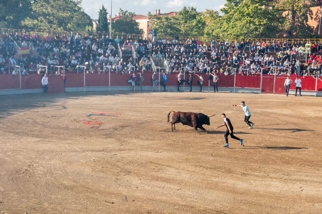 Capea sábado