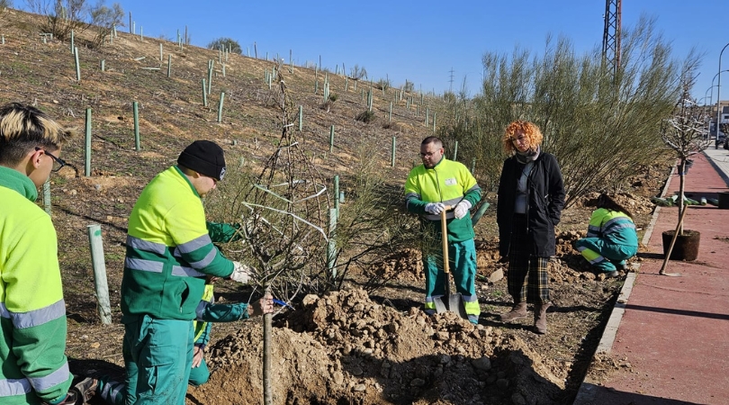 20250204 plantacion arboles web