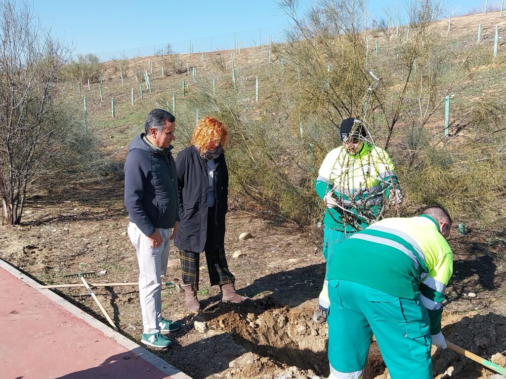 20250205 plantacion arboles sector xxiii (16)