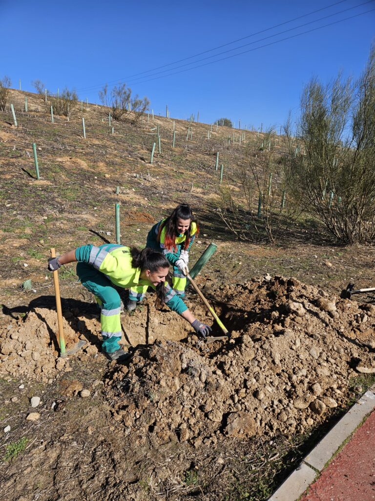 20250205 plantacion arboles sector xxiii (4)