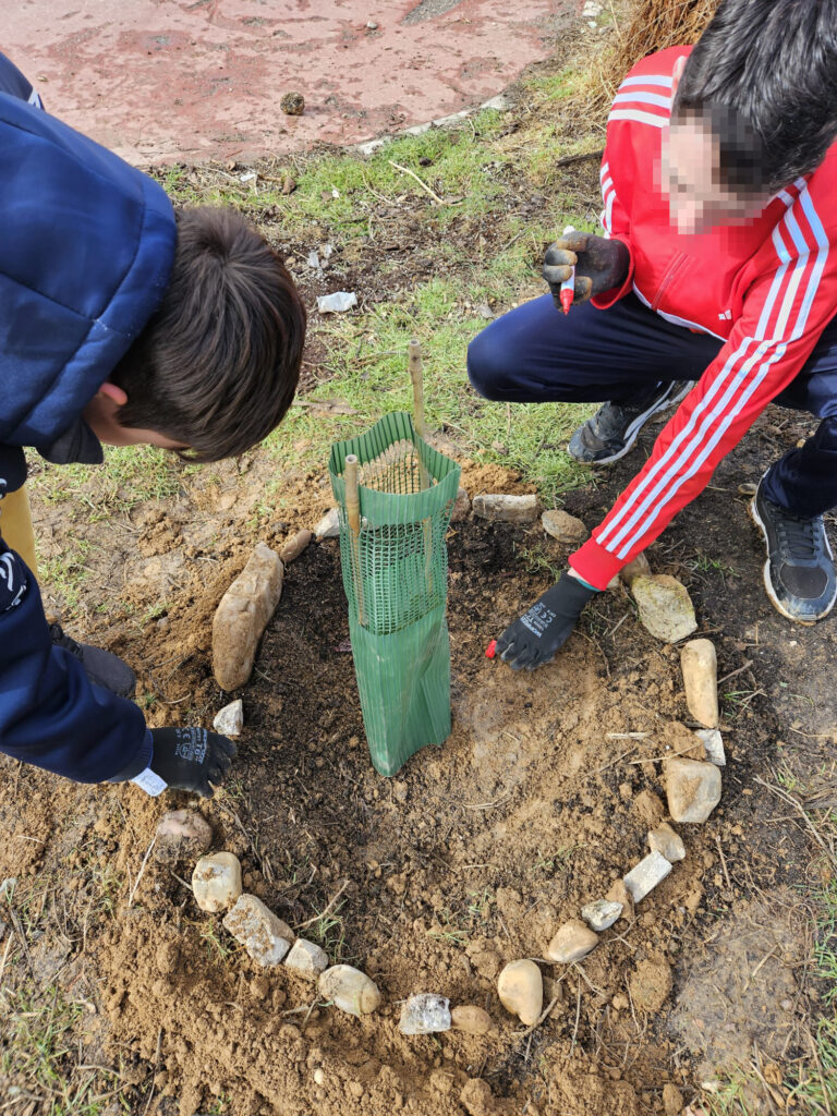 20250212 plantacion arboles ies (14)