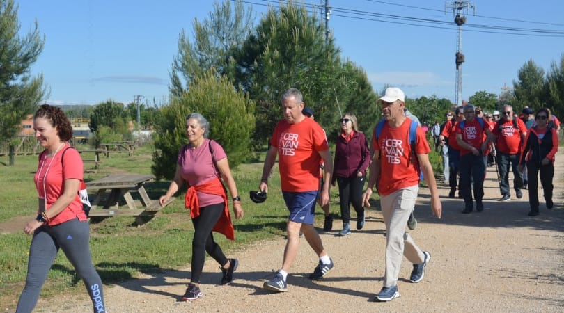 20250511 camino cervantes 20250511 camino cervantes