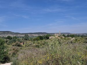 20250604 fin acti m amb taller (10)