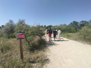 20250604 fin acti m amb taller (4)