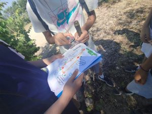 20250604 fin acti m amb taller (5)