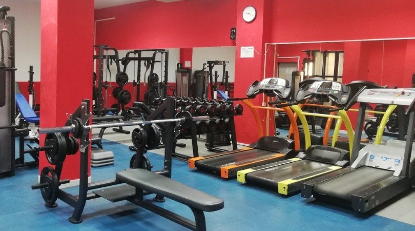 sala musculacion web