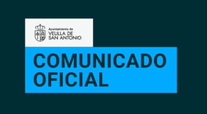 noticia web nueva