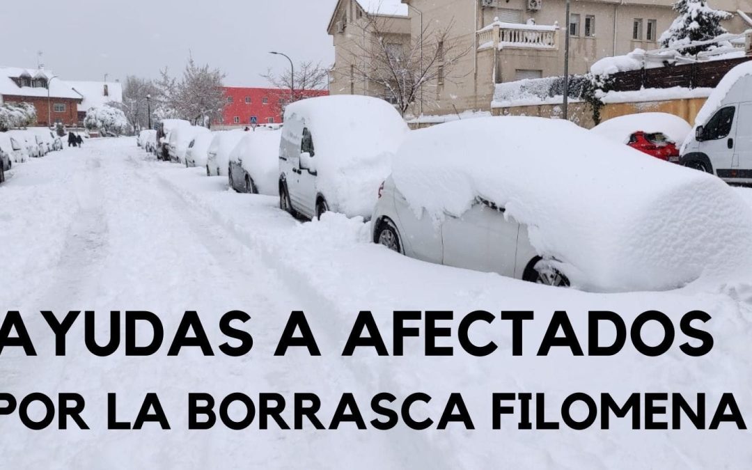 Información sobre Ayudas a los afectados por la borrasca Filomena