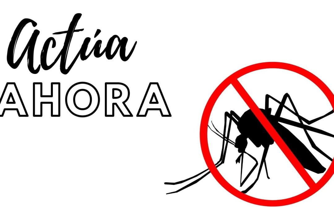 Actúa contra el mosquito tigre, es el momento