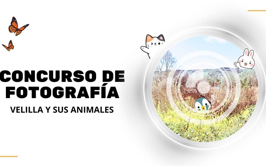 Concurso de fotografía “Velilla y sus animales”