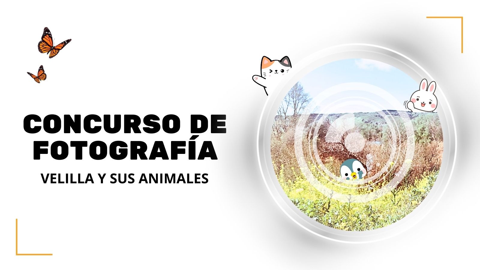 Concurso de fotografía “Velilla y sus animales”