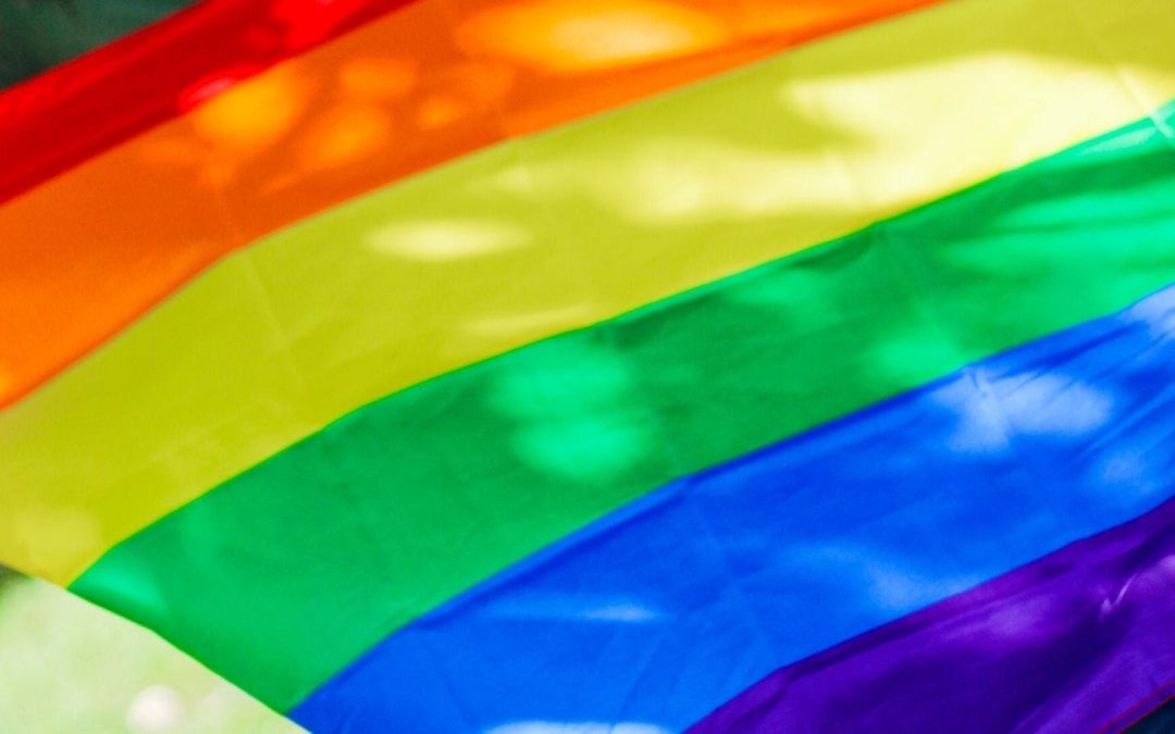 Día Internacional del Orgullo LGTBI