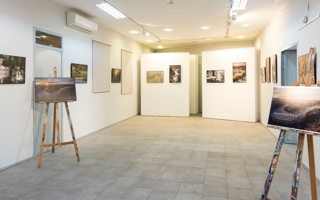 Exposición Fonamad “Nuestros ríos: caminos de agua, refugios de vida”