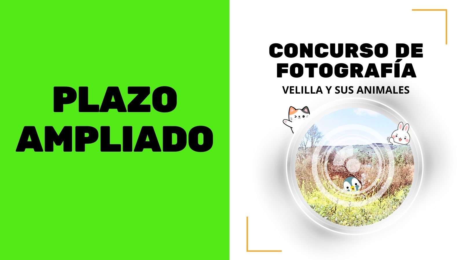 Ampliado el plazo para la presentación de fotografías del concurso de fotografía “Velilla y sus animales”