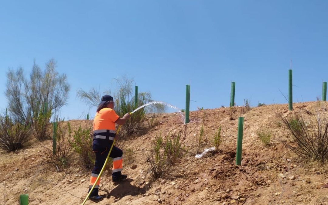 Riegos de la nueva zona forestal del Sector XXIII
