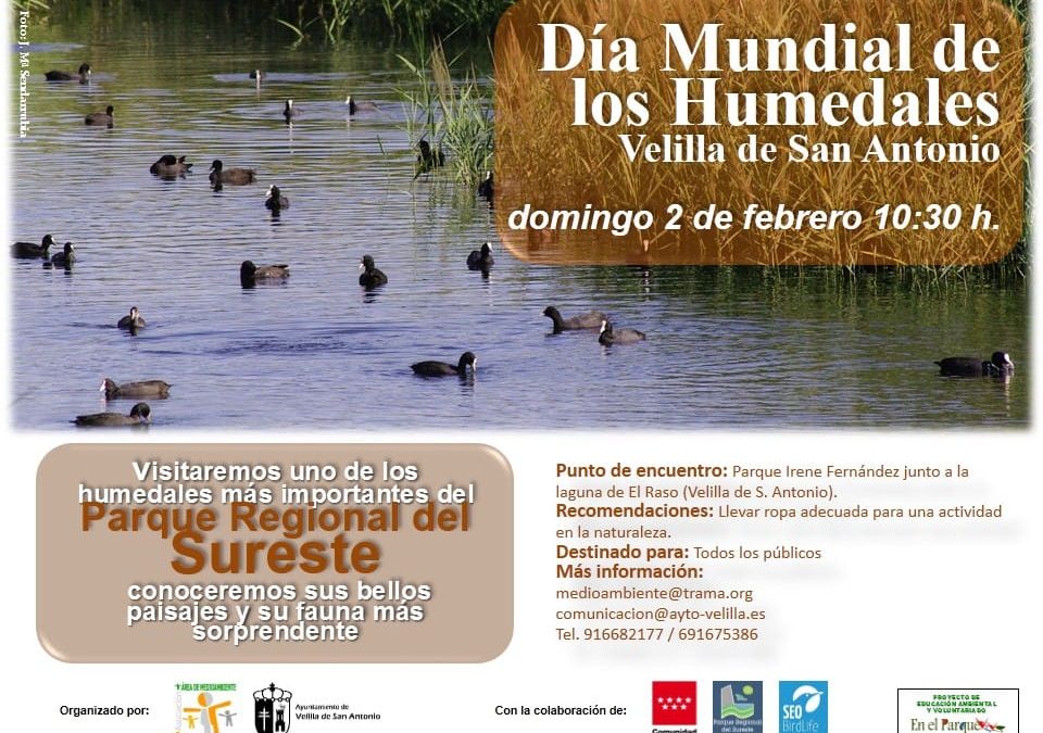El 2 de febrero celebraremos el Día Mundial de los Humedales con una visita guiada por las lagunas de Velilla