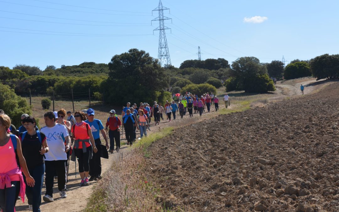 2017 II Camino de Cervantes