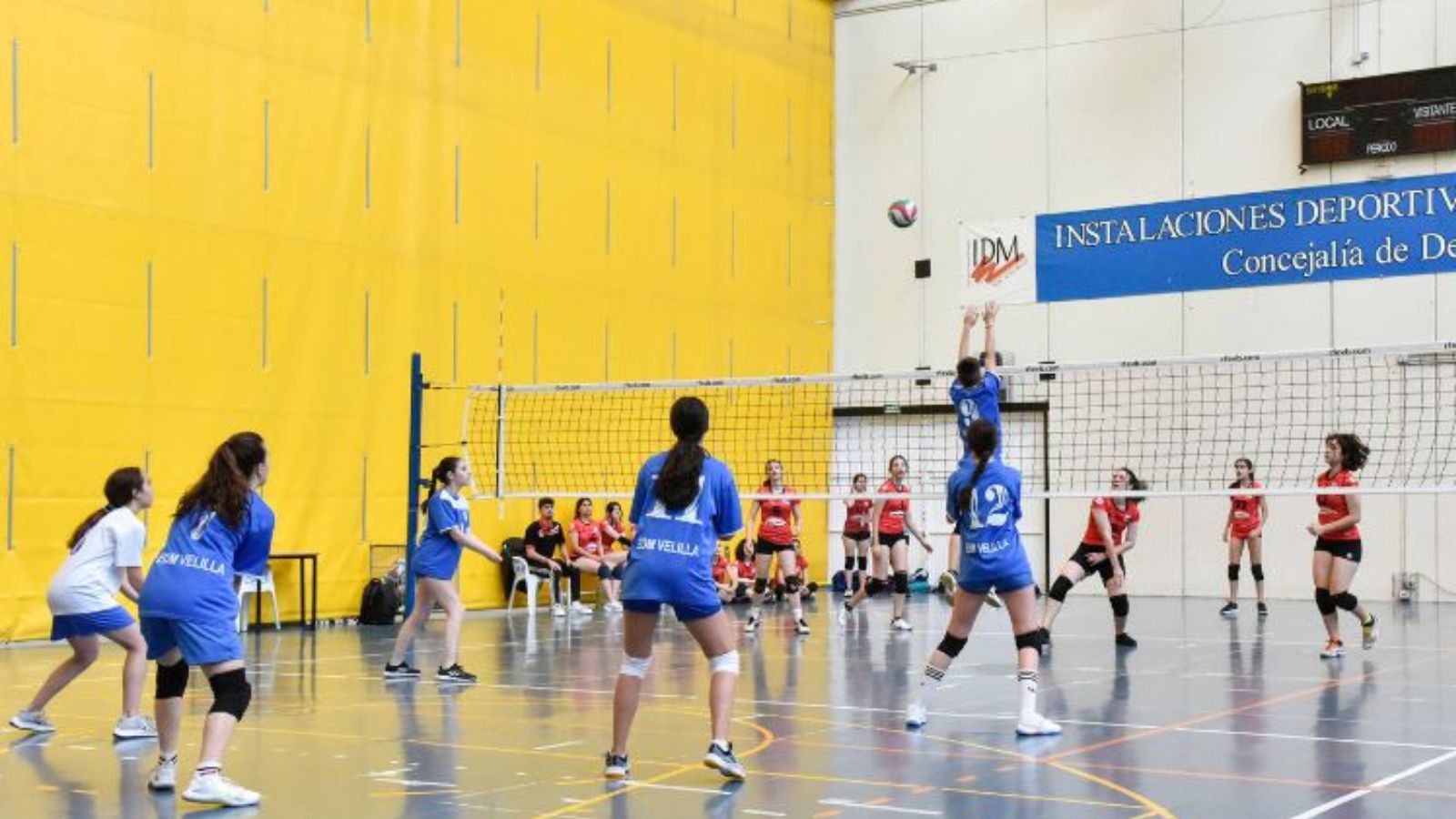 Torneo de voleibol